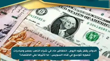 الدولار يقفز بقوة اليوم.. انخفاض حاد في شراء الذهب بمصر ومبادرات تنموية تتوسع في قناة السويس – ما تأثيرها على الاقتصاد؟
